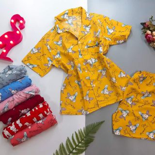 Pizama bán sỉ