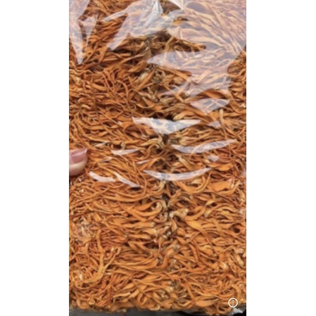 1 Lạng Đông trùng hạ thảo khô sấy thăng hoa