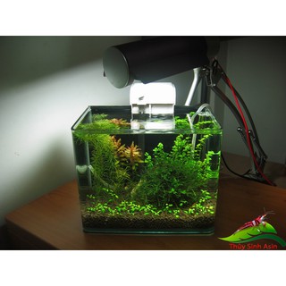 Máy Lọc thác 303 hồ cá thủy sinh