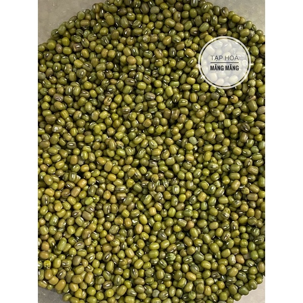 (500g) Hạt đỗ/ đậu xanh làm giá