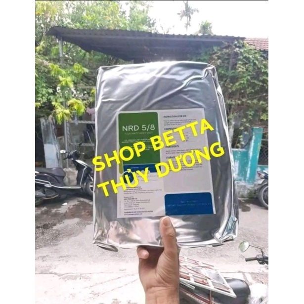 CÁM THÁI INVE 3/5, 5/8