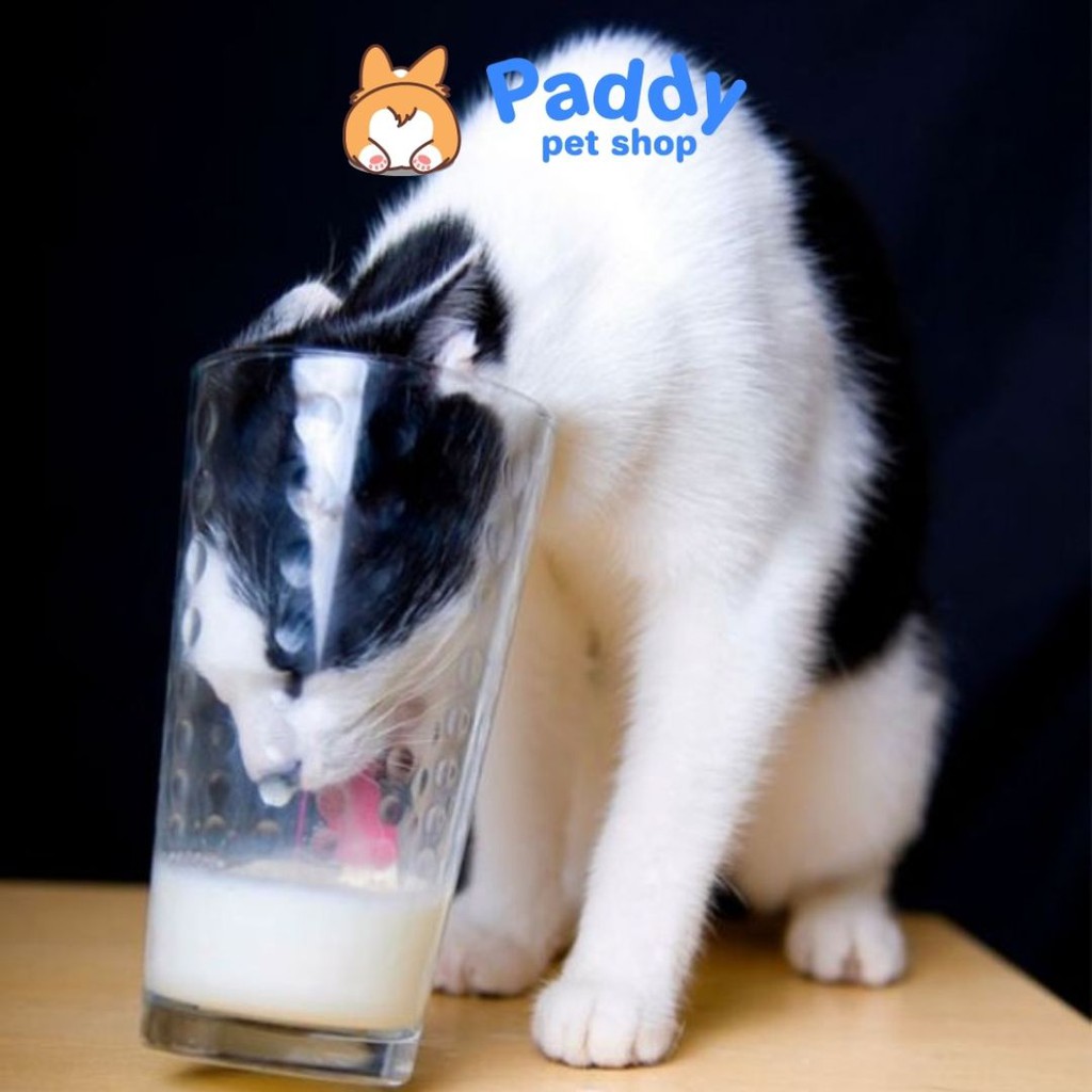 Sữa Tươi Pets Own Bổ Sung Glucosamine Cho Chó Mèo Mọi Độ Tuổi 1L (Nhập khẩu Úc)