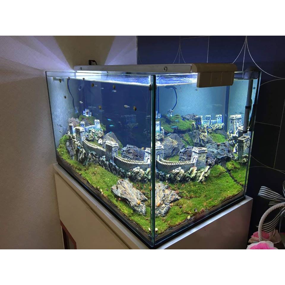 [Mã PET50K giảm Giảm 10% - Tối đa 50K đơn từ 250K] VẠN LÝ TRƯỜNG THÀNH 21cm