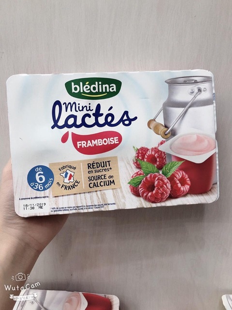 Sữa chua Bledina Pháp đủ vị date T05/2024