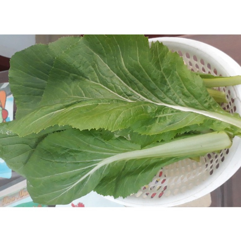 (GÍA SỈ) [Gói 20g] Hạt giống Cải bẹ xanh mỡ