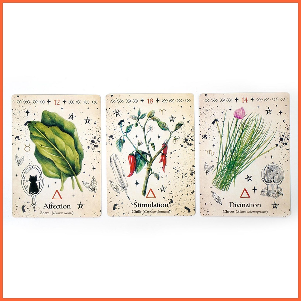 Bộ Bài Tarot Phiên Bản Tiếng Anh 44 Lá Cho Người Mới Bắt Đầu