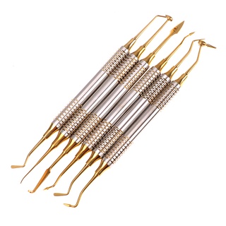 Bộ 6 Dụng Cụ Chăm Sóc Nha Khoa 18.5cm Làm Từ Thép Không Gỉ