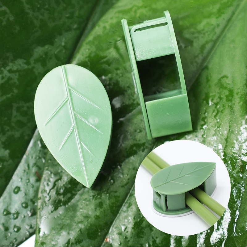 Set 10 Giá Đỡ Cây Dây Leo Tự Dính Thân Thiện Với Môi Trường Không Cần Đóng Đinh Tiết Kiệm Không Gian