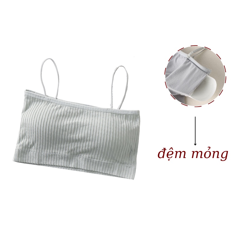 Áo lót ngực bra cotton gân tăm co giãn thoải mái cho nữ OTIS - A809