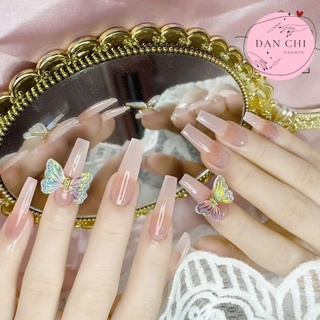NailBox móng úp thiết kế sẵn Mẫu Thạch Charm Bướm