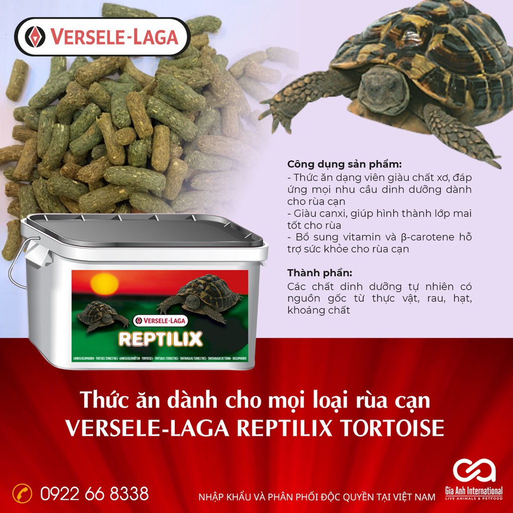 Thức Ăn Dinh Dưỡng Cho Rùa Cảnh Cạn - Versele-laga Reptilix Land Tortoises Giàu Chất Xơ Canxi Giúp Rùa Khoẻ Mạnh Hộp 1kg