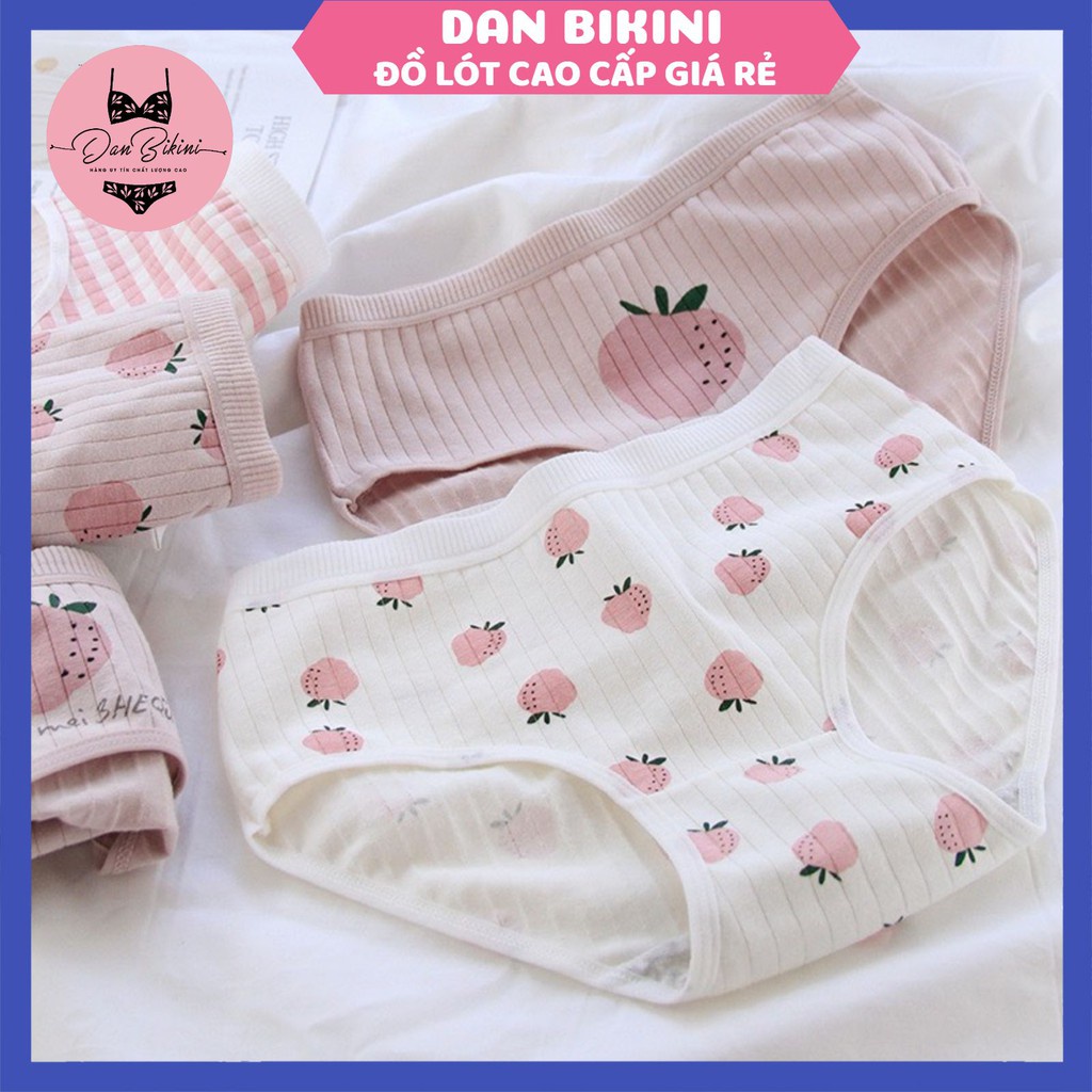 Quần Lót Nữ ❤️FREESHIP❤️ Quần Lót Nữ Cotton gân tăm hình dâu tây kháng khuẩn mềm mại mẫu 671