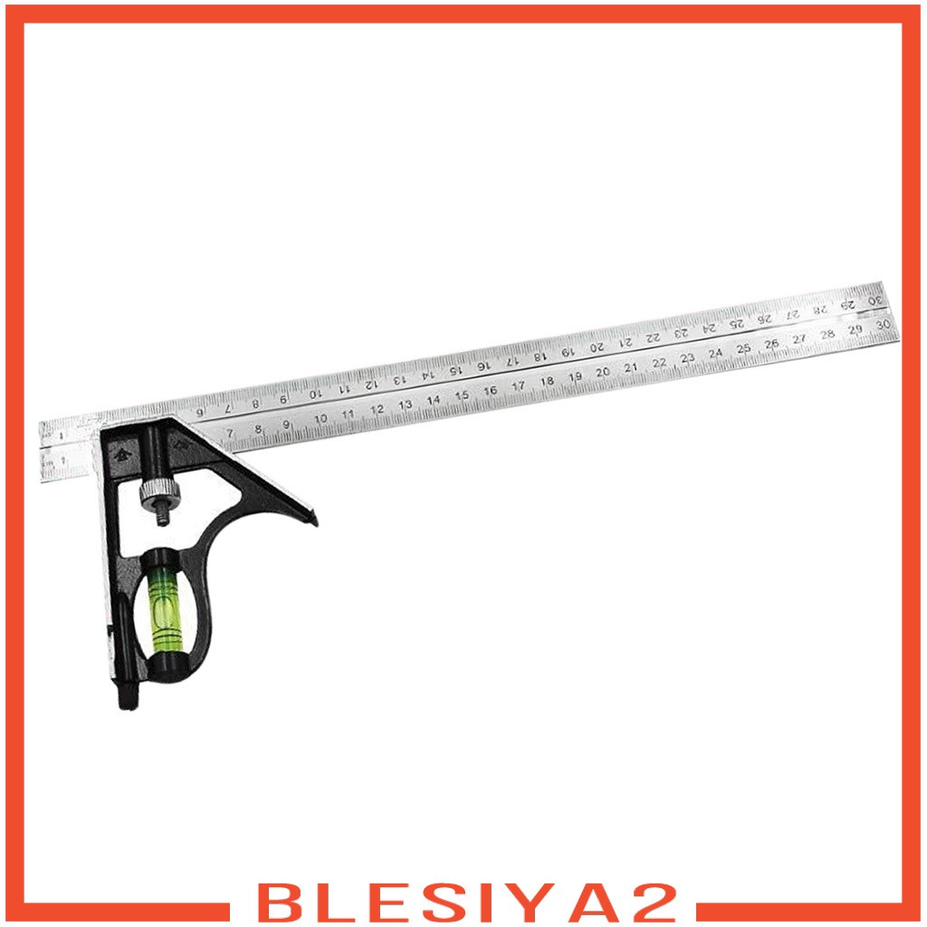 Thước Đo Kỹ Thuật Bằng Thép Không Gỉ 300mm 12 &quot;Blesiya2