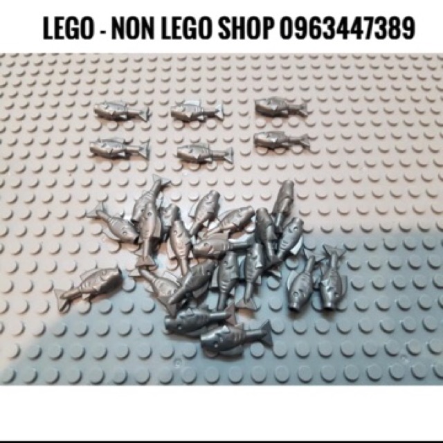 Động Vật Con Cá