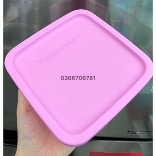 Hộp bảo quản thực phẩm Medium Square Round (màu inb)