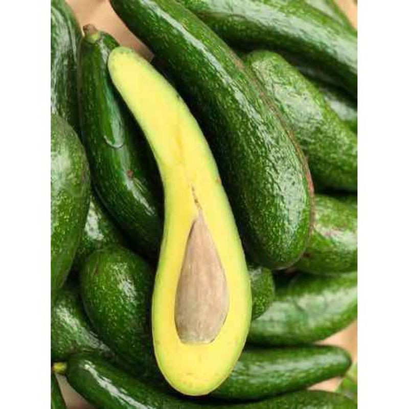 Bơ 034 đà lạt  2-4 trái 1kg bơ già sống 4 ngày chín