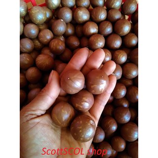 Macca nứt vỏ hút chân không 500gram