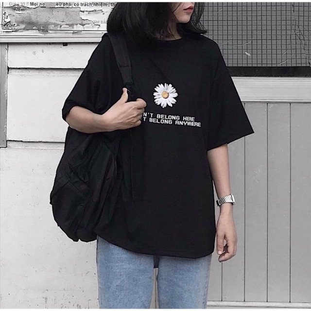 Combo phông hoa cúc
