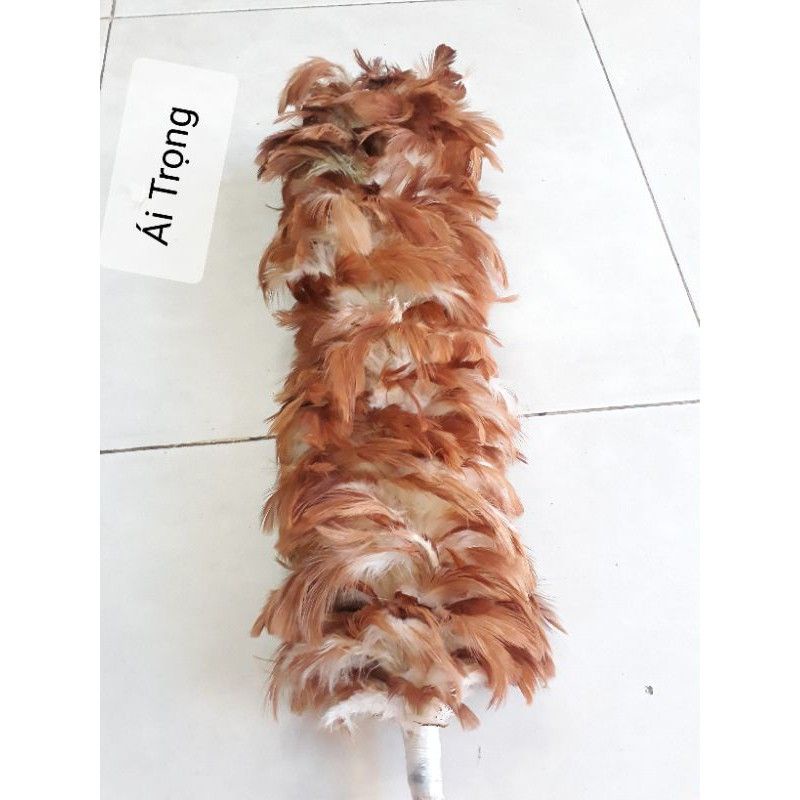 Chổi Lông Gà Mỹ