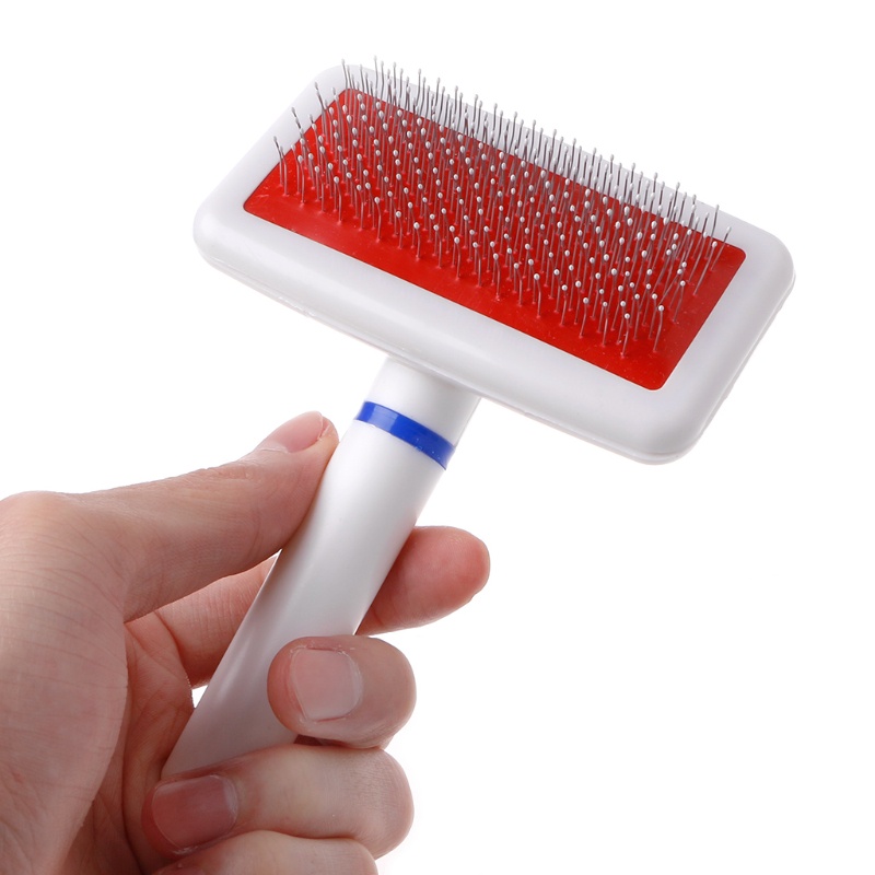 Lược chải lông tiện dụng cho thú cưng
