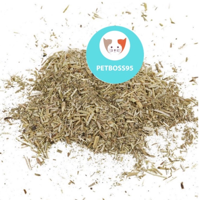 CỎ CATNIP CHO MÈO NGỬI GIẢM STRESS (1 GÓI 2gram)