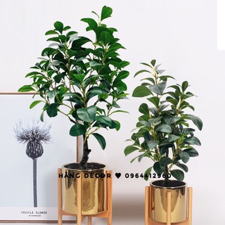 Cây lá chanh - Cây xanh giả trang trí nhà cửa 85cm -hằng decor