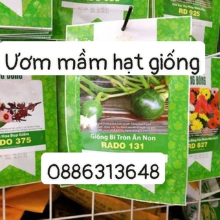 Hạt giống Bí tròn ăn non Rd 131 (5 hạt)