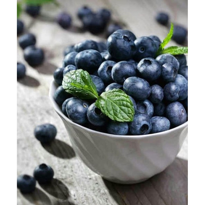 Việt quất sấy khô Only Nature 450g/túi (Blueberries)