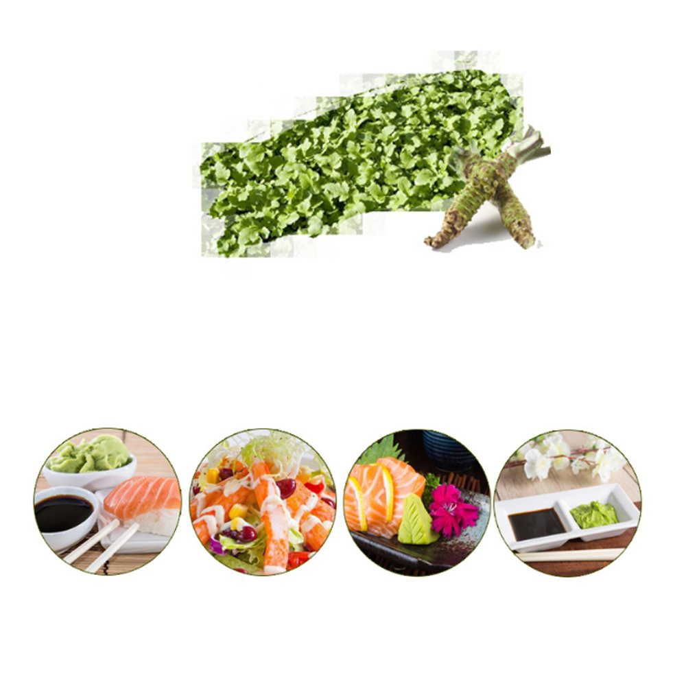 Bột Mù Tạt Xanh Wasabi Daesang 200 Gram - Nhập Khẩu Hàn Quốc