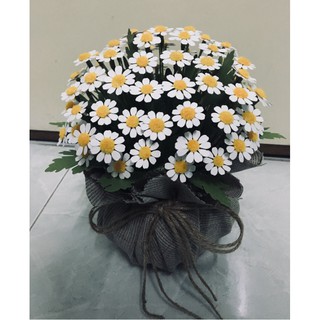 Chậu hoa cúc Tana handmade bằng giấy siêu cute