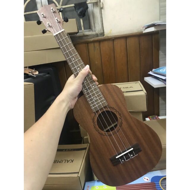 ĐÀN UKULELE CONCERT HOẠ TIẾT