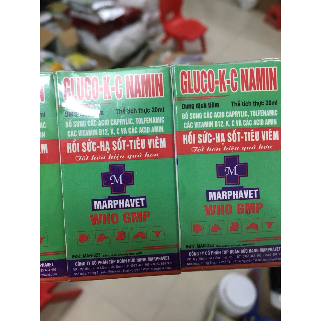 1 lọ GLUCO K C NAMIN HỒI SỨC HẠ SỐT TIÊU VIÊM cho vật nuôi