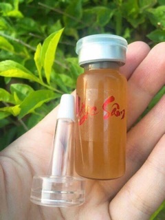 Đông y Ngọc Sâm mini