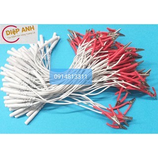 01 cặp kẹp kim máy điện châm hoa đà SDZ-II