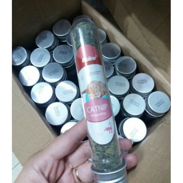 Ống canip cho mèo 45ml