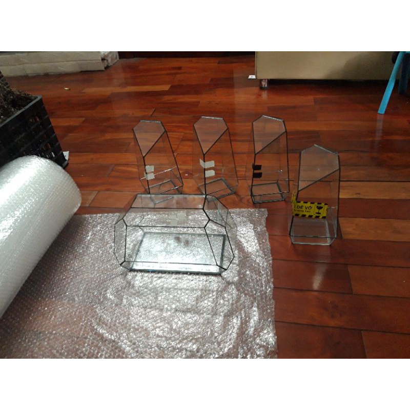 bình đa giác terrarium mẫu cơ bản