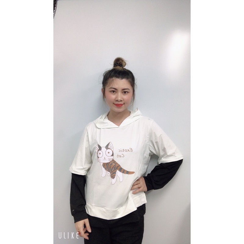 Áo hoodie Unisex họa tiết mèo đáng yêu năng động (M1) | BigBuy360 - bigbuy360.vn
