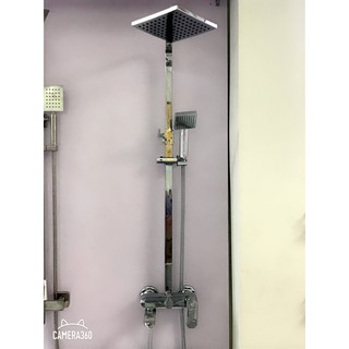 Sen cây mạ vàng SANI SC102