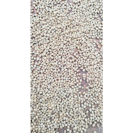 Đậu nành hữu cơ thuần chủng 500gr