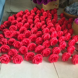 hoa giấy nhún ý có cành đài