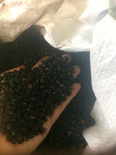 [FREESHIP 99K TOÀN QUỐC]Đậu đen xanh lòng ( 1kg)