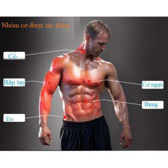 Thanh lò xo gậy lò xo Titan tập cơ tay 30kg, 40kg, 50kg.