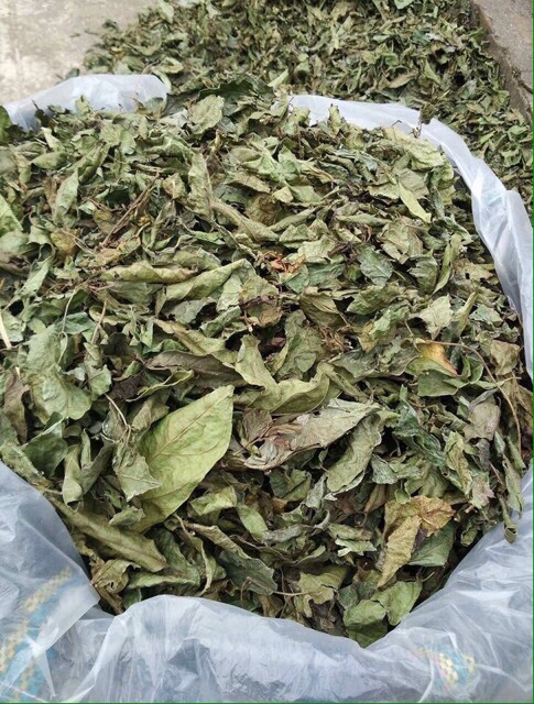 Combo 2kg Xạ đen Hoà Bình (cả thân và lá)