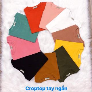 Thun lững cổ tròn