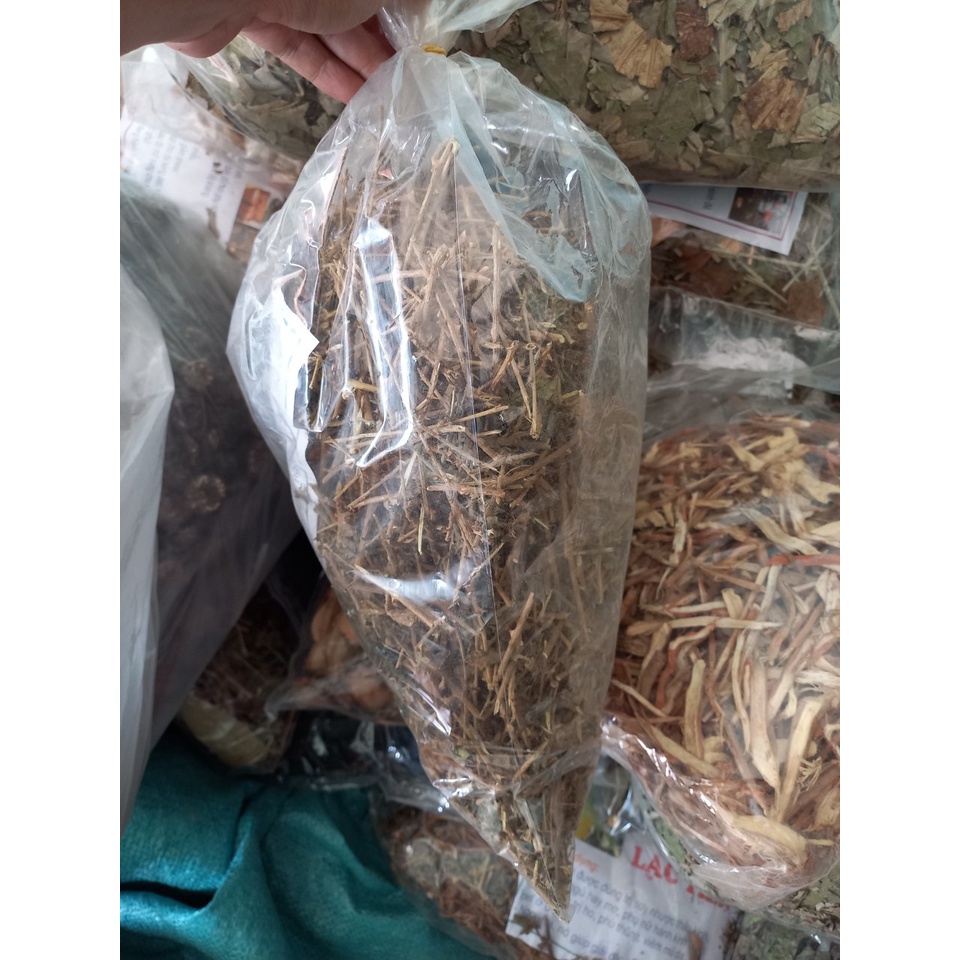 Cà gai leo khô 1kg