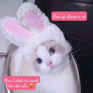 [Ngẫu nhiên] Băng đô tai  mèo/ tai thỏ đáng iu
