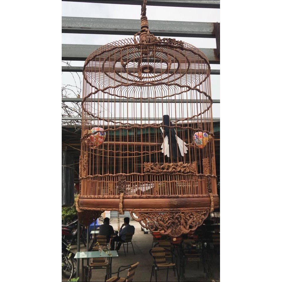 Cám Chim Chích Chòe Lửa Chòe Đất Comboo 5,10 Gói Cám Chất và Mát cho các loại chim Chích Chòe