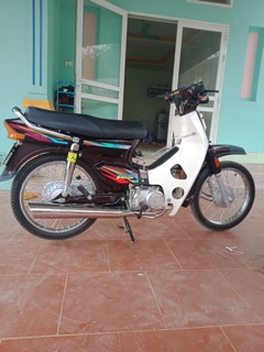 Tem dream 7 màu đẹp