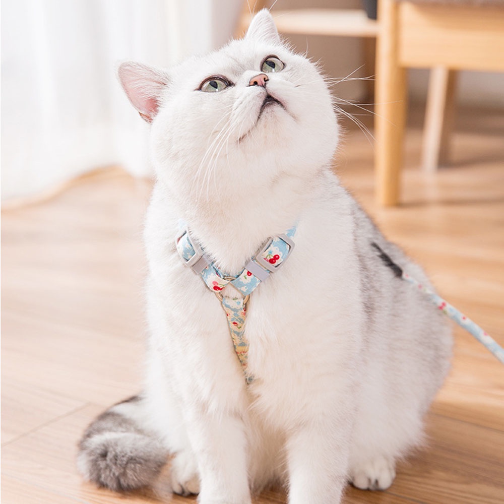 Dây buộc có đai hình chữ H 2 kích cỡ mềm thoải mái có thể điều chỉnh dài 1.5m nhiều màu sắc cho mèo