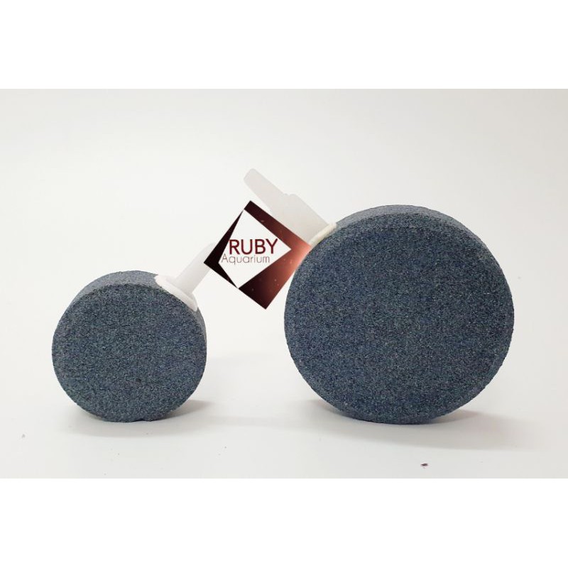 Sủi Oxy đĩa siêu mịn đường kính 4-6cm